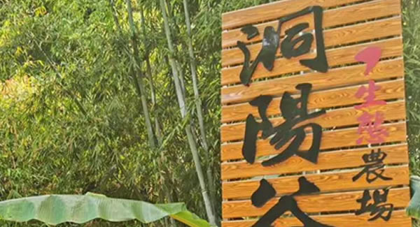 廣有合頁2019踏春拓展--經(jīng)歷中成長，成長中經(jīng)歷