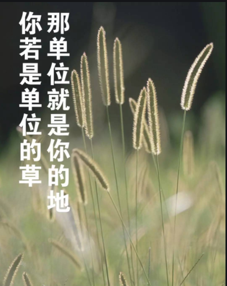 0819002.png 0819002.png