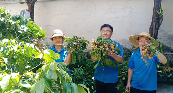摘一顆龍眼，品一份團圓，謝一次饋贈 | 廣有五金&東莞合頁